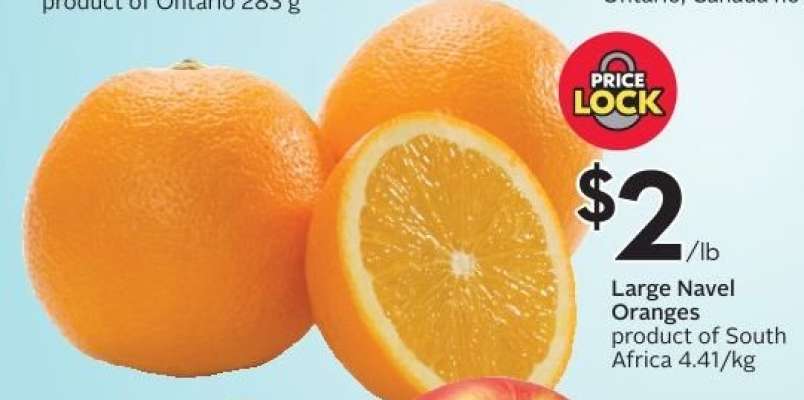 Large Navel Oranges