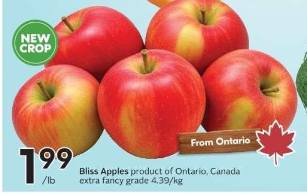 Bliss Apples