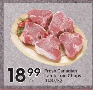 Fresh Canadian Lamb Loin Chops