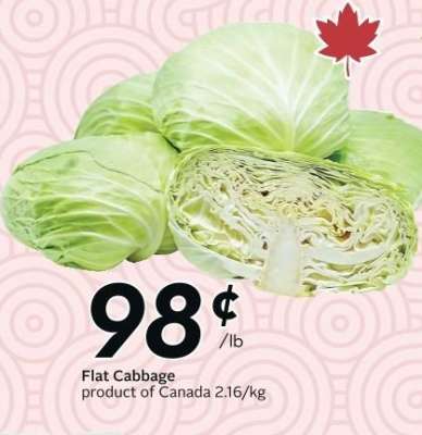 Flat Cabbage