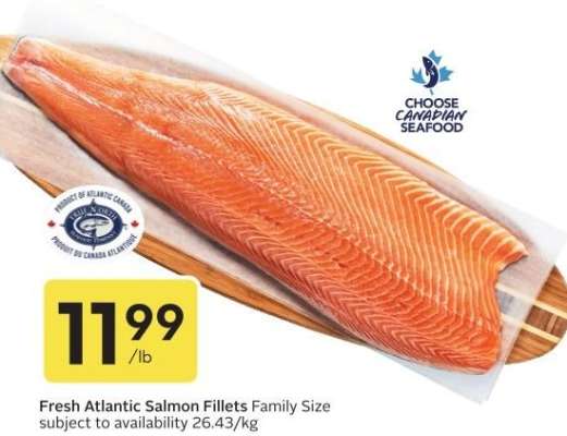 Fresh Atlantic Salmon Fillets