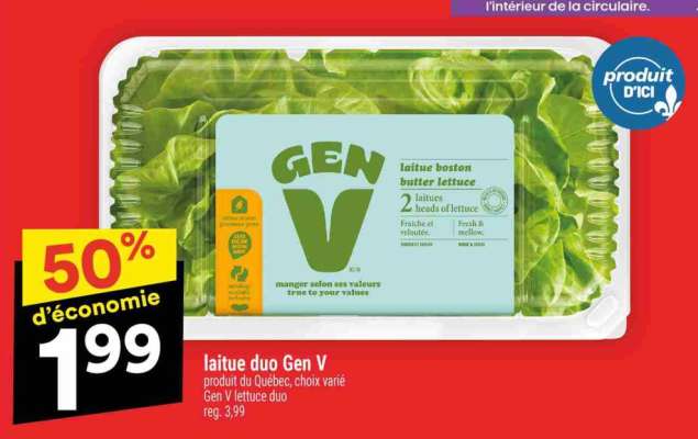 LAITUE DUO GEN V