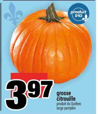 grosse citrouille