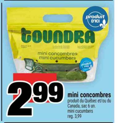 mini concombres