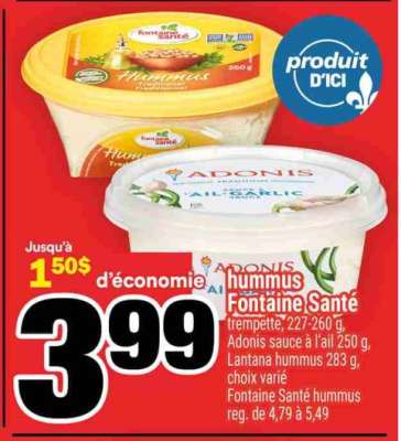 Hummus Fontaine Santé