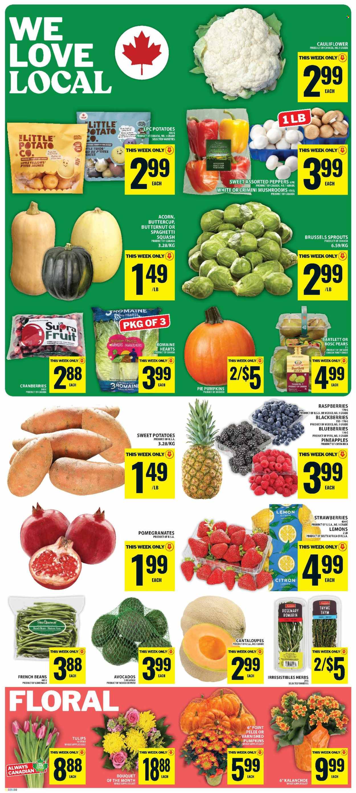 Food Basics flyer  - October 01, 2026 - October 07, 2026. Page 3