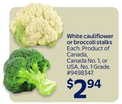 White Cauliflower or Broccoli Stalks