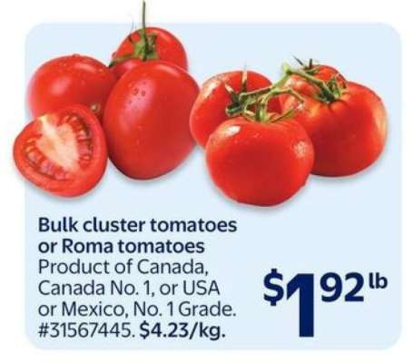 Bulk cluster tomatoes or Roma tomatoes