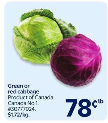 Green or Red Cabbage