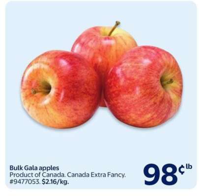 Bulk Gala Apples