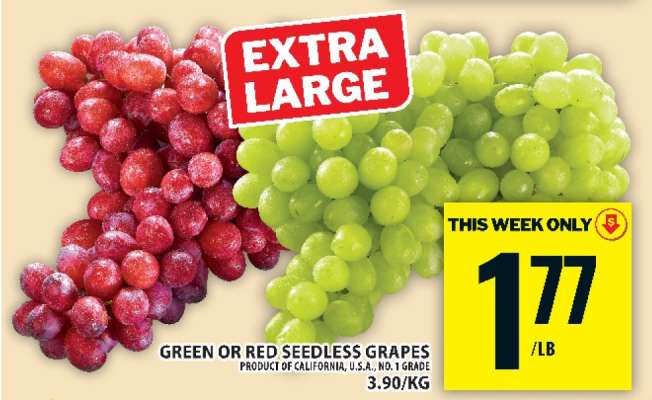GREEN or RED SEEDLESS GRAPES