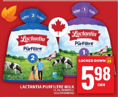 LACTANTIA PURFILTRE MILK