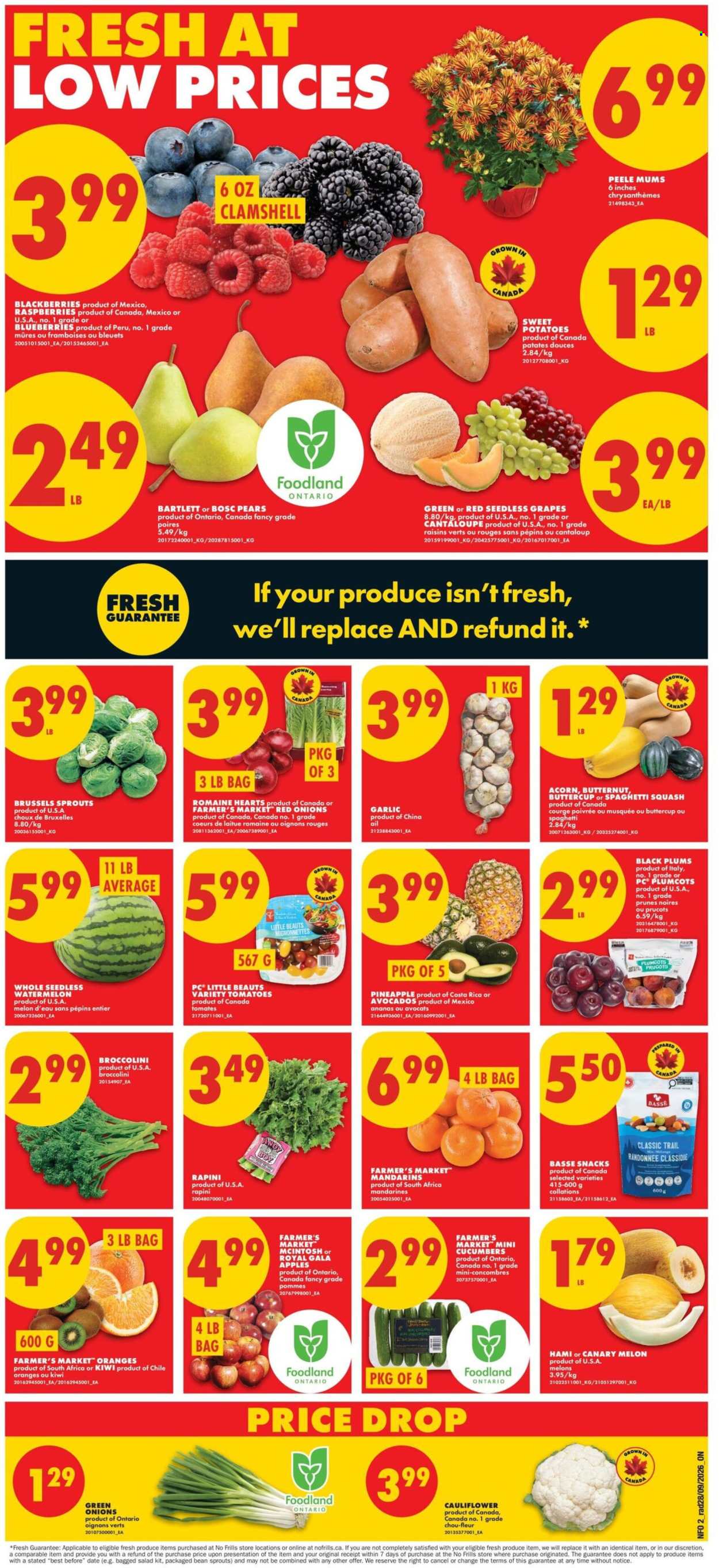 No Frills flyer  - October 01, 2026 - October 07, 2026. Page 2