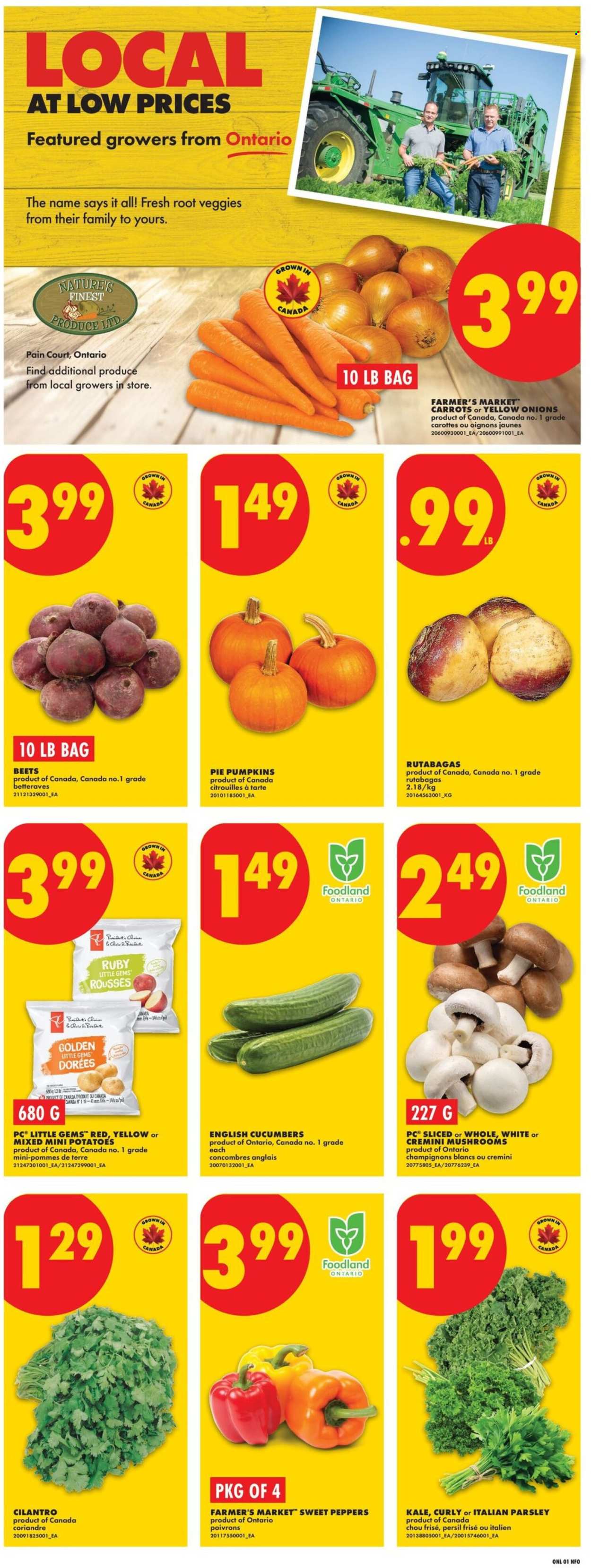 No Frills flyer  - October 01, 2026 - October 07, 2026. Page 3