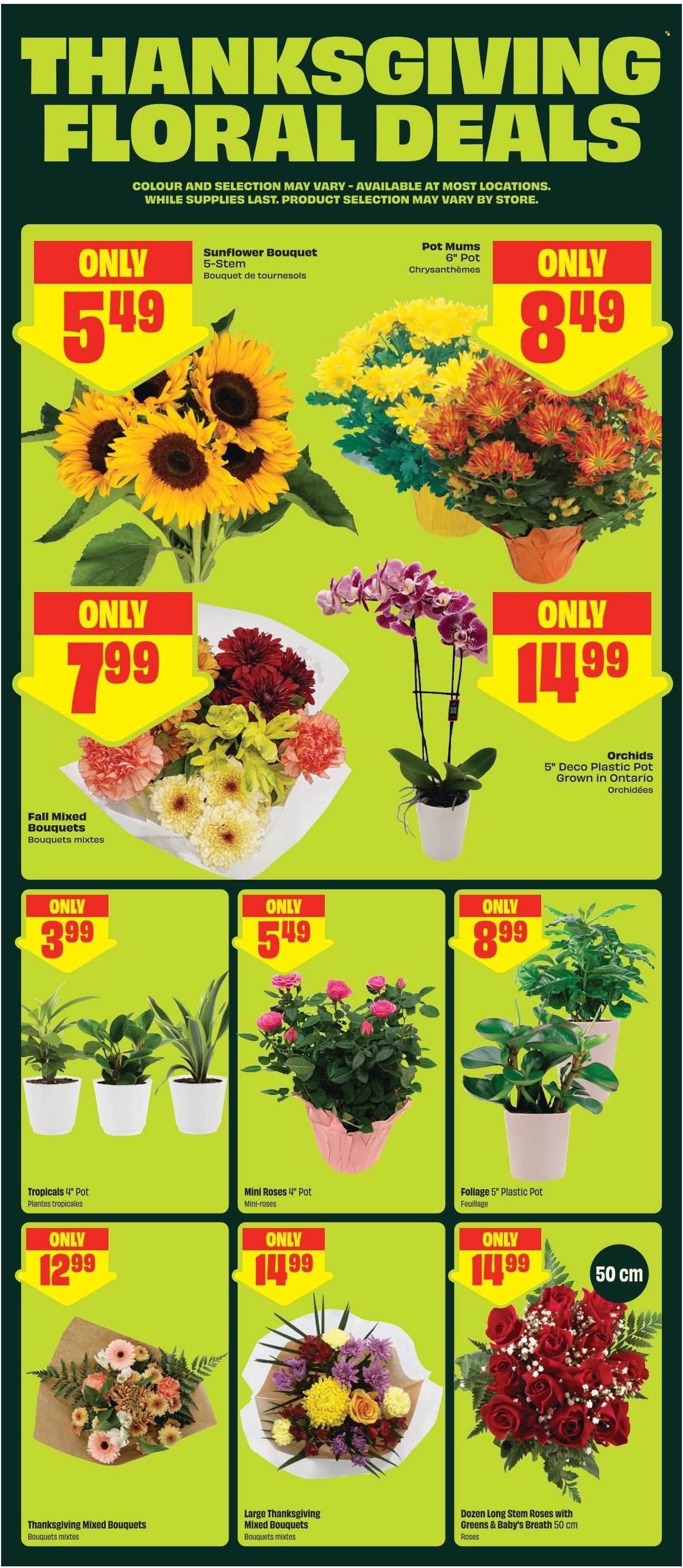 FreshCo. flyer  - October 01, 2026 - October 07, 2026. Page 6