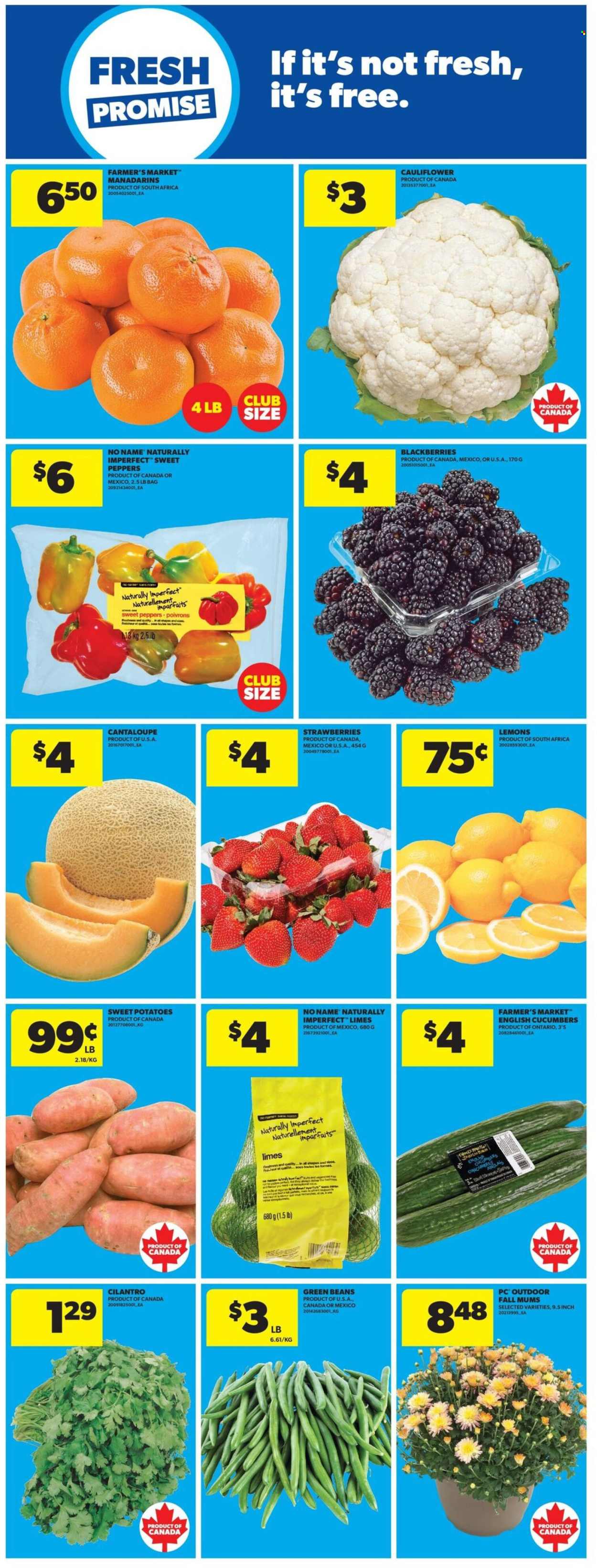 Real Canadian Superstore flyer  - October 01, 2026 - October 07, 2026. Page 24