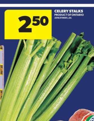 Celery Stalks