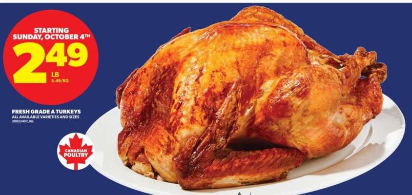 FRESH GRADE A TURKEYS