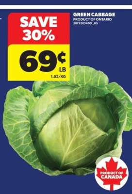 GREEN CABBAGE