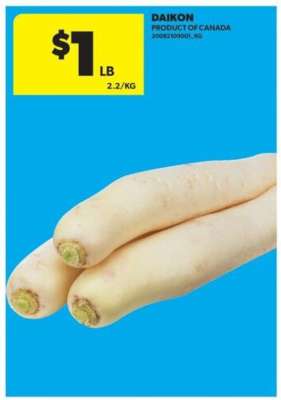 DAIKON