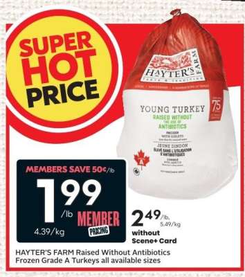 HAYTER'S FARM Raised Without Antibiotics Frozen Grade A Turkeys