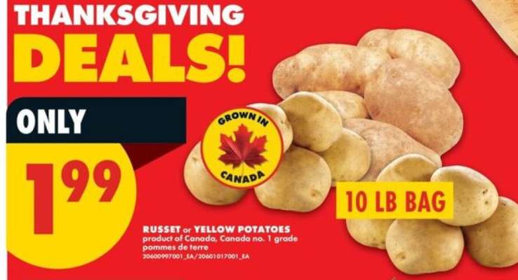 RUSSET or YELLOW POTATOES