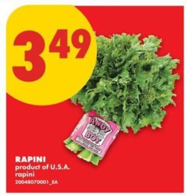 RAPINI