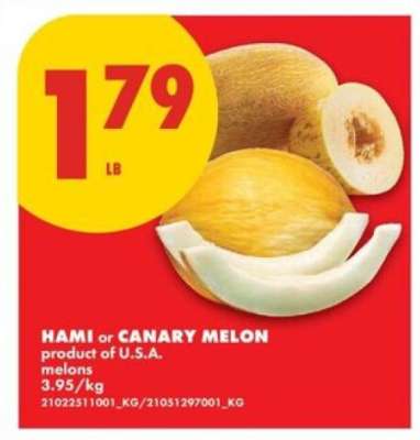 Hami or Canary Melon