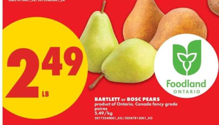 BARTLETT OR BOSC PEARS