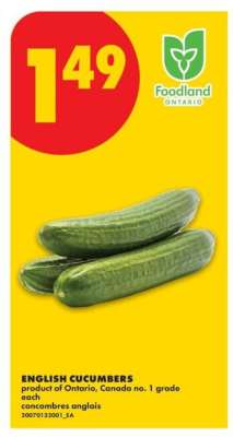ENGLISH CUCUMBERS