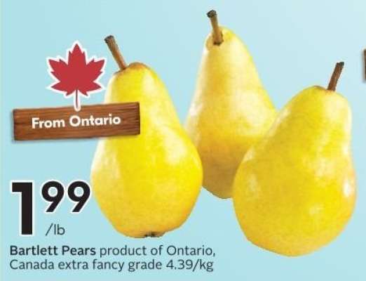 BARTLETT PEARS