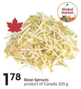 Bean Sprouts