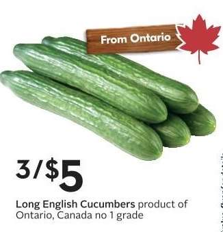 Long English Cucumbers