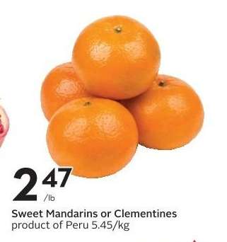 Sweet Mandarins or Clementines