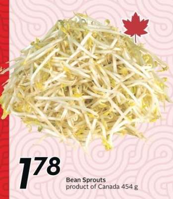 Bean Sprouts