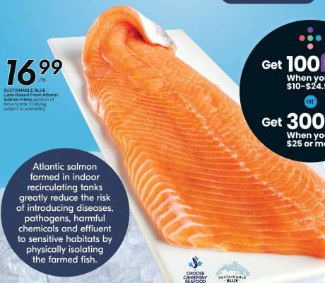 SUSTAINABLE BLUE Land Raised Fresh Atlantic Salmon Fillets