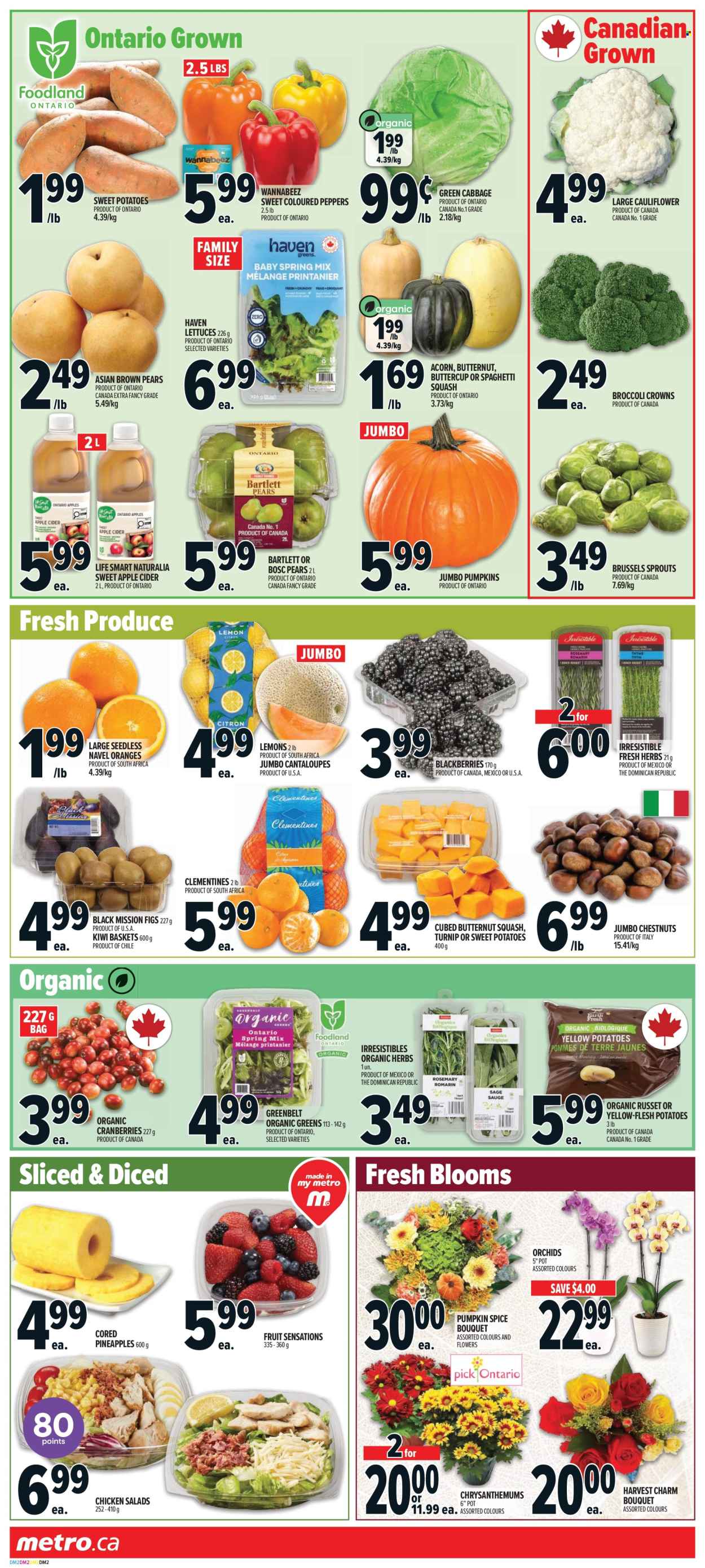 Metro flyer  - October 01, 2026 - October 07, 2026. Page 3