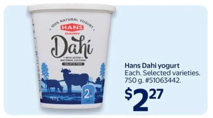 HANS Dahi Yogurt