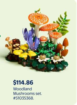 Woodland Mushrooms set