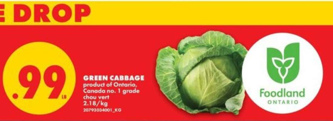 GREEN CABBAGE
