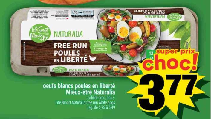 OEUFS BLANCS POULES EN LIBERTÉ MIEUX-ÊTRE NATURALIA