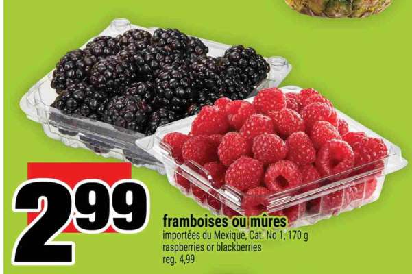 FRAMBOISES OU MÛRES