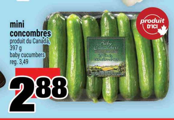 mini concombres