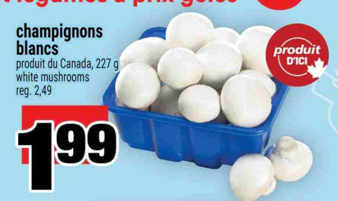 CHAMPIGNONS BLANCS