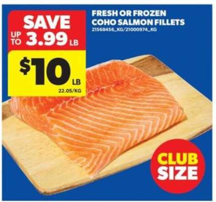 Fresh or Frozen Coho Salmon Fillets