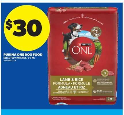 PURINA ONE DOG FOOD