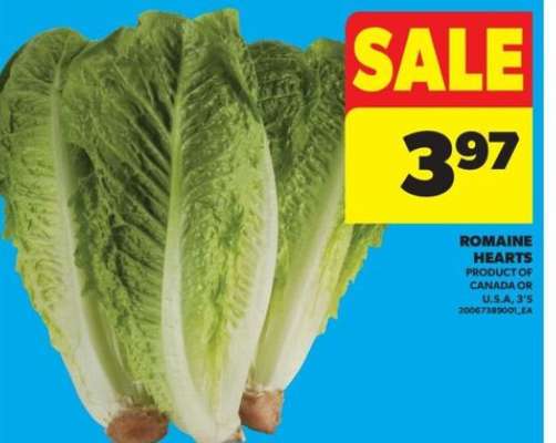 ROMAINE HEARTS