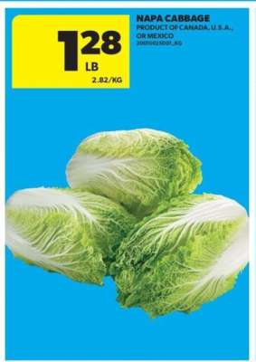 NAPA CABBAGE