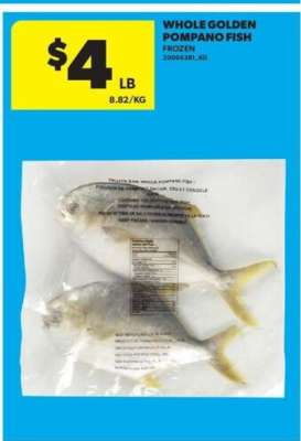 Whole Golden Pompano Fish