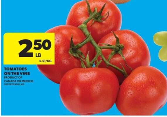 TOMATOES ON THE VINE